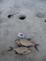 IMG_3630.jpg