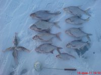 Улов-18.02.11_3,5кг..jpg