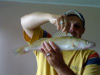 17072010019.jpg