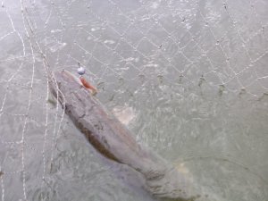IMG_20151001_112308.jpg