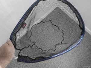 20151002111433.jpg