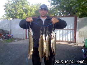 IMG025.jpg