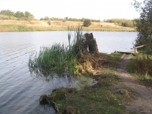 IMG_8186.JPG