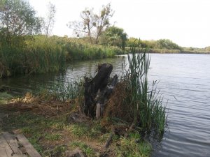 IMG_8187.JPG