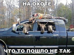 NCioxAvn8f0.jpg