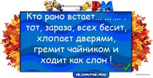 4YLEXMP44SY.jpg