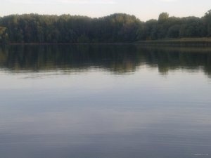 Фото3943.jpg