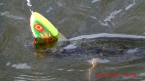 CIMG3466.JPG