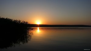 IMG_3344.JPG