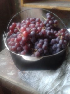 2015-10-06 17.47.23.jpg