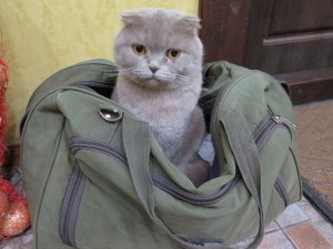 IMG_5762.JPG