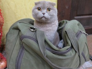 IMG_5763.JPG