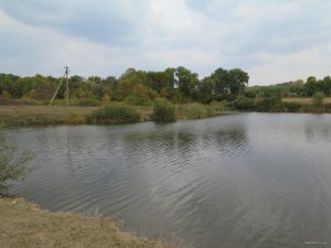 IMG_5793.JPG
