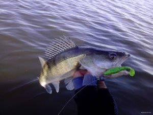 IMG_20151008_091250.jpg