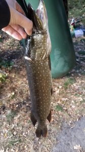 20151008_124543.jpg