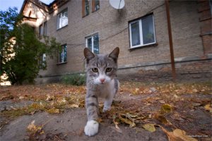 _MG_0007.jpg
