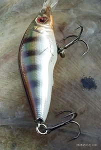 20151003_160341-1.jpg