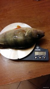 20151010_194345.jpg