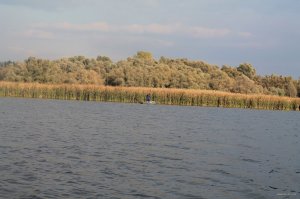 IMG_6095.JPG