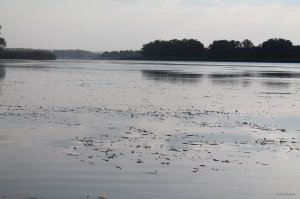 IMG_6105.JPG