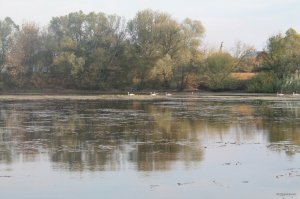 IMG_6112.JPG