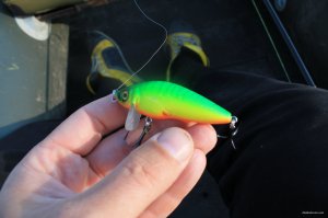 IMG_6117.JPG
