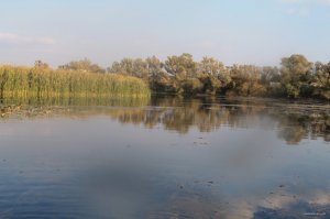 IMG_6124.JPG