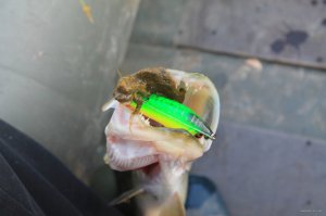 IMG_6123.JPG