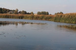 IMG_6132.JPG