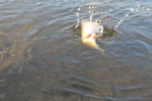 IMG_6133.JPG