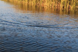 IMG_6136.JPG
