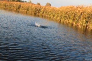 IMG_6143.JPG