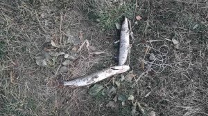 DSCF6576.JPG