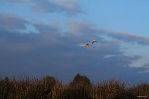 IMG_6155.JPG