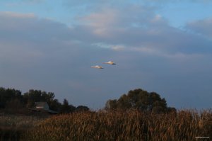 IMG_6156.JPG