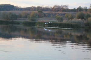 IMG_6158.JPG