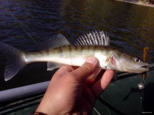 IMG_20151011_100253.jpg