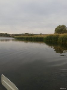 2015-10-14 08.26.47.jpg