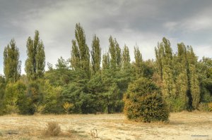 _SAM2117_8_9.jpg