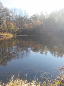 IMG_20151017_105922.jpg