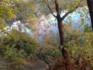 IMG_20151017_170029.jpg