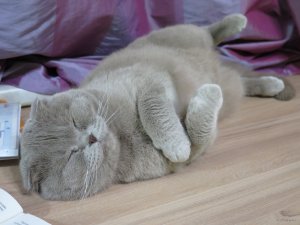 IMG_5807.JPG
