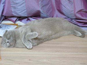IMG_5805.JPG