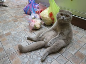 IMG_5438.JPG
