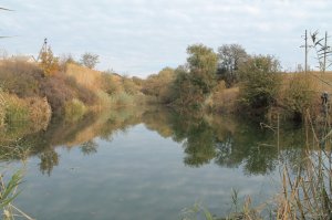 IMG_6166.JPG