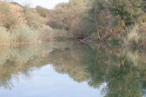 IMG_6165.JPG