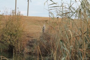 IMG_6164.JPG