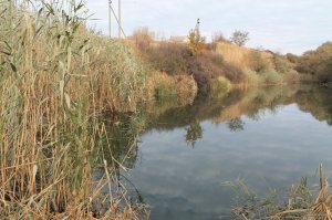 IMG_6167.JPG