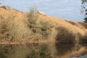 IMG_6179.JPG