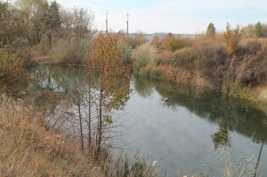 IMG_6178.JPG